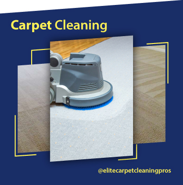 carpet cleaning, carpet cleaners, cleaning services, cleaning services in Massachusetts, cleaning services in Massachusetts, carpet cleaning in Massachusetts, carpet cleaning in Massachusetts, carpet cleaning Massachusetts, carpet cleaners in Massachusetts, carpet cleaners in Massachusetts, carpet cleaning services, Massachusetts carpet cleaning, Massachusetts carpet cleaning, Massachusetts carpet cleaners, Massachusetts carpet cleaning services, rug cleaning, rug cleaners, Massachusetts rug cleaning, Massachusetts rug cleaners, rug cleaning in Massachusetts, rug cleaners in Massachusetts, commercial carpet cleaning, commercial carpet cleaning Massachusetts, commercial carpet cleaning in Massachusetts, Massachusetts commercial carpet cleaning, upholstery cleaning, upholstery cleaning Massachusetts, upholstery cleaners in Massachusetts, upholstery cleaners Massachusetts, mattress cleaning Massachusetts, Massachusetts upholstery cleaning, Massachusetts upholstery cleaners, bed bug treatment, bed bug treatment Massachusetts, Massachusetts bed bug treatment, stain removal, stain removal Massachusetts, Massachusetts stain removal, pet odor cleaning, pet odor cleaning Massachusetts, Massachusetts pet odor cleaners, pet odor cleaners Massachusetts, pet odor cleaners, mattress cleaning, mattress cleaning Massachusetts, mattress cleaning in Massachusetts, Massachusetts mattress cleaning, Massachusetts mattress cleaners, water damage, water damage services in Massachusetts, water damage services Massachusetts, Massachusetts water damage services,  Area Rug Cleaning Massachusetts, area rug cleaning Massachusetts, Area Rug Cleaning Massachusetts, Area Rug Cleaning Massachusetts, Carpet Cleaning Massachusetts, Carpet Cleaning Massachusetts