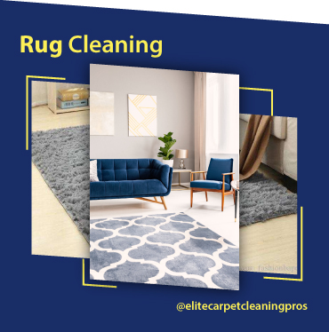 carpet cleaning, carpet cleaners, cleaning services, cleaning services in Massachusetts, cleaning services in Massachusetts, carpet cleaning in Massachusetts, carpet cleaning in Massachusetts, carpet cleaning Massachusetts, carpet cleaners in Massachusetts, carpet cleaners in Massachusetts, carpet cleaning services, Massachusetts carpet cleaning, Massachusetts carpet cleaning, Massachusetts carpet cleaners, Massachusetts carpet cleaning services, rug cleaning, rug cleaners, Massachusetts rug cleaning, Massachusetts rug cleaners, rug cleaning in Massachusetts, rug cleaners in Massachusetts, commercial carpet cleaning, commercial carpet cleaning Massachusetts, commercial carpet cleaning in Massachusetts, Massachusetts commercial carpet cleaning, upholstery cleaning, upholstery cleaning Massachusetts, upholstery cleaners in Massachusetts, upholstery cleaners Massachusetts, mattress cleaning Massachusetts, Massachusetts upholstery cleaning, Massachusetts upholstery cleaners, bed bug treatment, bed bug treatment Massachusetts, Massachusetts bed bug treatment, stain removal, stain removal Massachusetts, Massachusetts stain removal, pet odor cleaning, pet odor cleaning Massachusetts, Massachusetts pet odor cleaners, pet odor cleaners Massachusetts, pet odor cleaners, mattress cleaning, mattress cleaning Massachusetts, mattress cleaning in Massachusetts, Massachusetts mattress cleaning, Massachusetts mattress cleaners, water damage, water damage services in Massachusetts, water damage services Massachusetts, Massachusetts water damage services,  Area Rug Cleaning Massachusetts, area rug cleaning Massachusetts, Area Rug Cleaning Massachusetts, Area Rug Cleaning Massachusetts, Carpet Cleaning Massachusetts, Carpet Cleaning Massachusetts